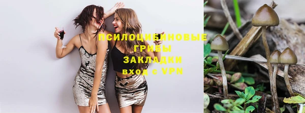 тгк Балахна