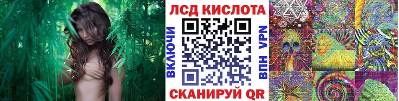 где купить наркотик  Николаевск-на-Амуре  Марки 25I-NBOMe 1,8мг 